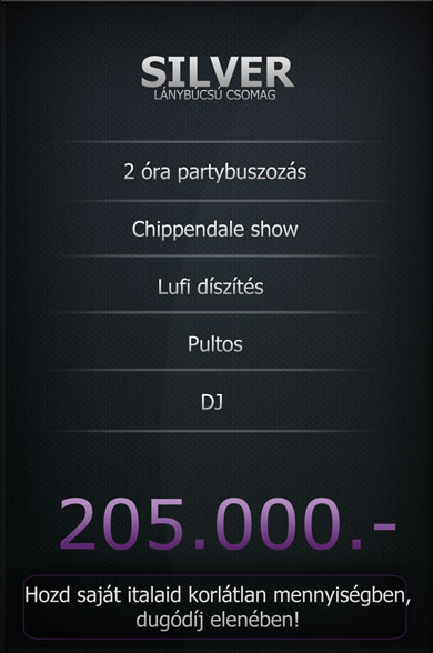 lanybucsu_csomag_partybusz_silver